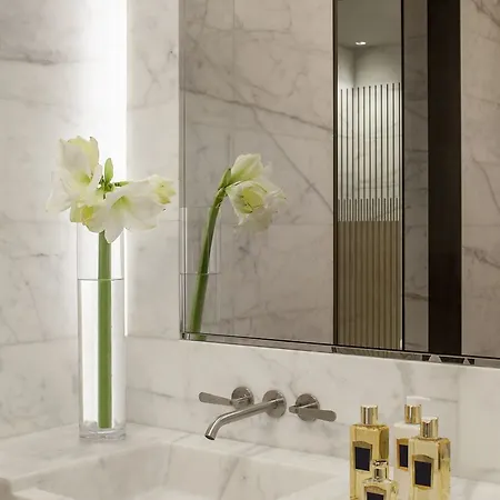 מלון Mandarin Oriental Lutetia, פריז